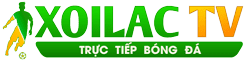 mực xà